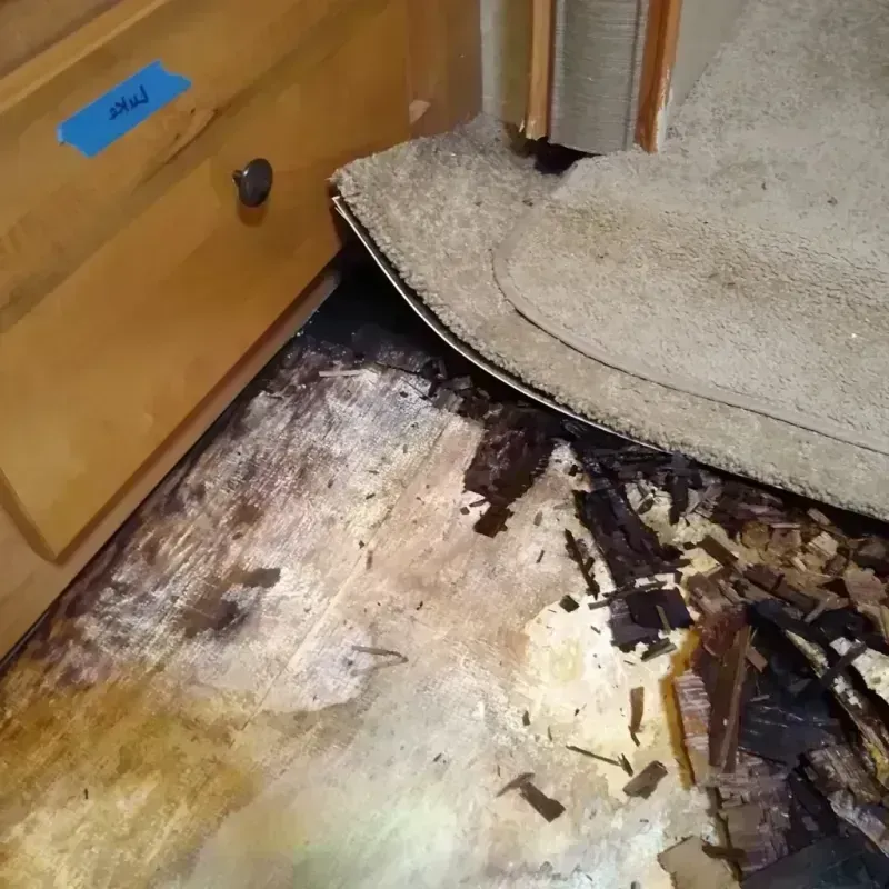 Best Wood Floor Water Damage Service in Rio Blanco County, CO